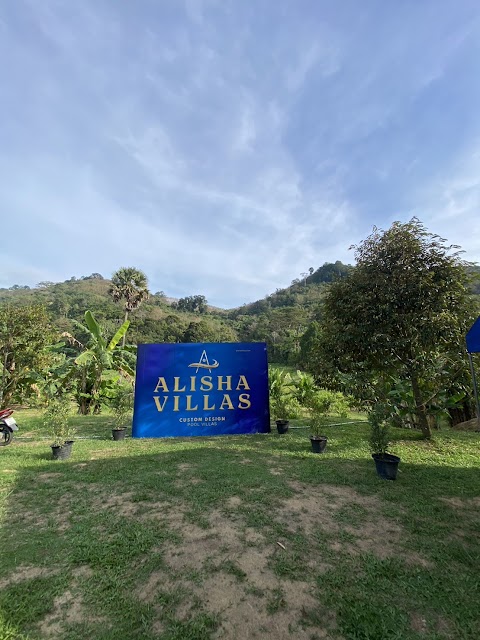 Alisha Green Hill — фото проекта